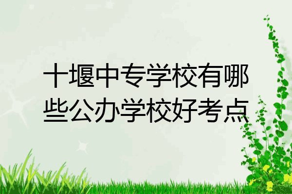 十堰中专学校有哪些公办学校好考点