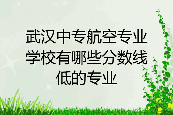 武汉中专航空专业学校有哪些分数线低的专业
