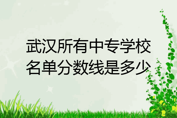 武汉所有中专学校名单分数线是多少