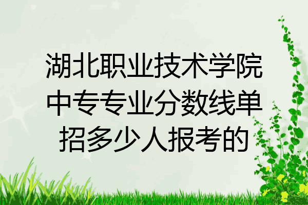 湖北职业技术学院中专专业分数线单招多少人报考的