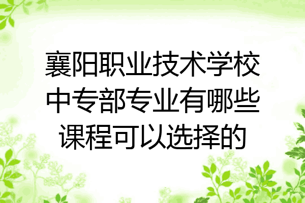 襄阳职业技术学校中专部专业有哪些课程可以选择的