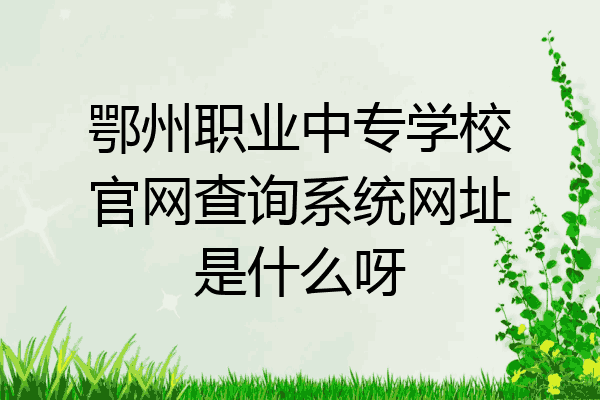 鄂州职业中专学校官网查询系统网址是什么呀