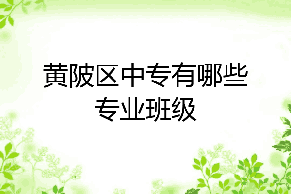 黄陂区中专有哪些专业班级