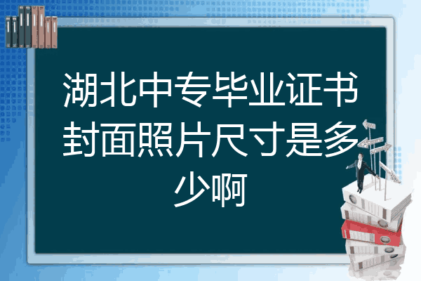 湖北中专毕业证书封面照片尺寸是多少啊