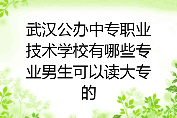 武汉公办中专职业技术学校有哪些专业男生可以读大专的