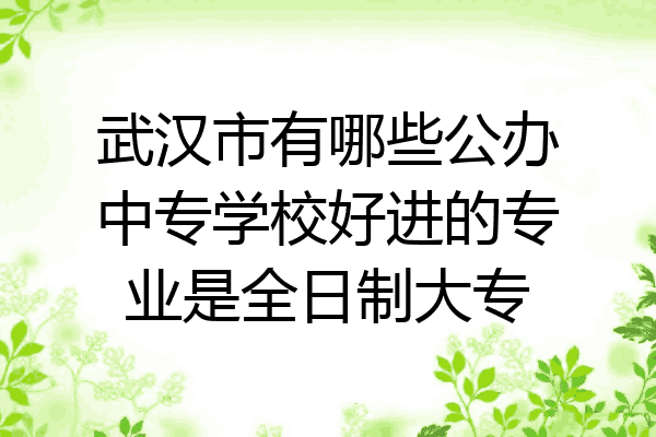 武汉市有哪些公办中专学校好进的专业是全日制大专