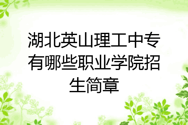 湖北英山理工中专有哪些职业学院招生简章