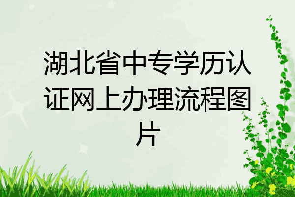 湖北省中专学历认证网上办理流程图片