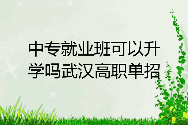 中专就业班可以升学吗武汉高职单招