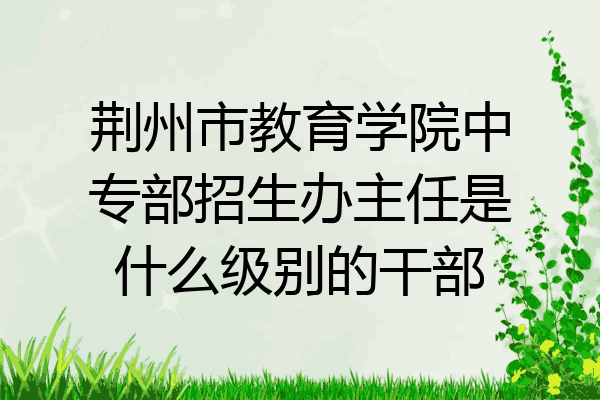 荆州市教育学院中专部招生办主任是什么级别的干部