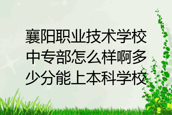 襄阳职业技术学校中专部怎么样啊多少分能上本科学校