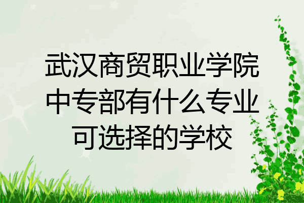 武汉商贸职业学院中专部有什么专业可选择的学校