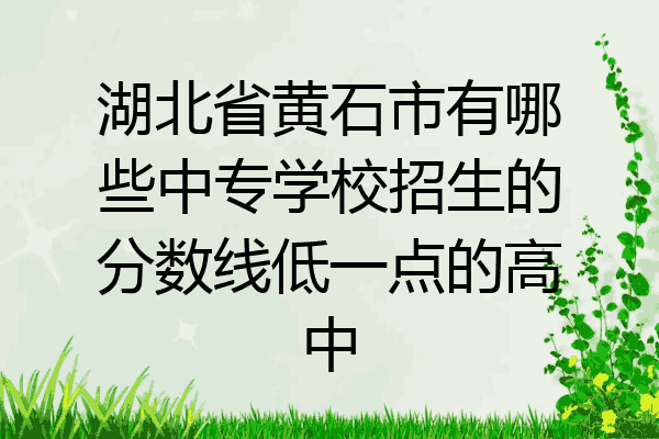 湖北省黄石市有哪些中专学校招生的分数线低一点的高中