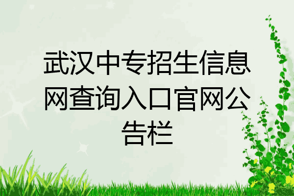 武汉中专招生信息网查询入口官网公告栏