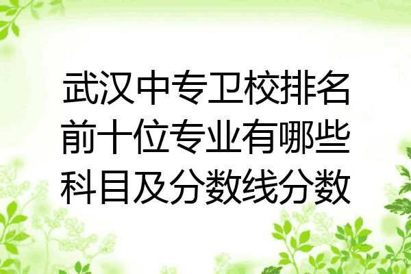 武汉中专卫校排名前十位专业有哪些科目及分数线分数