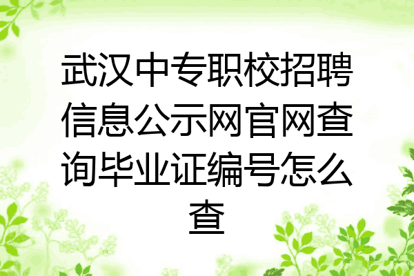 武汉中专职校招聘信息公示网官网查询毕业证编号怎么查