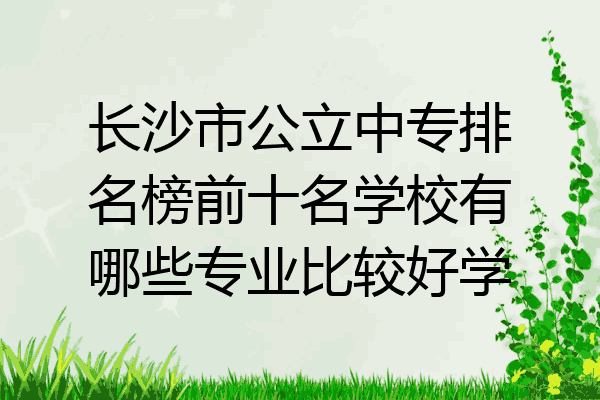 长沙市公立中专排名榜前十名学校有哪些专业比较好学