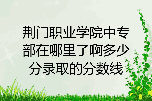 荆门职业学院中专部在哪里了啊多少分录取的分数线