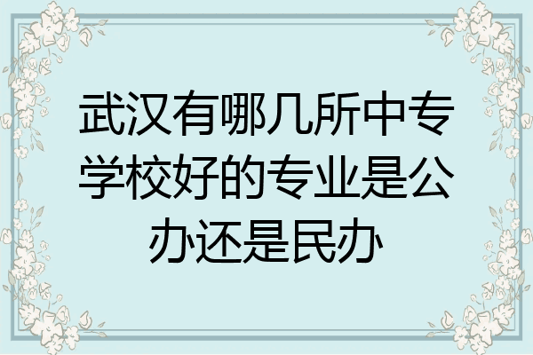 武汉有哪几所中专学校好的专业是公办还是民办