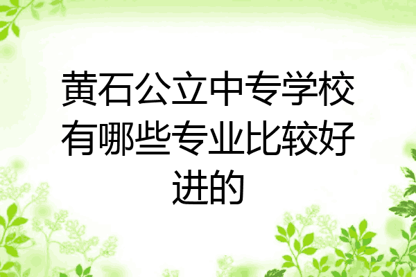 黄石公立中专学校有哪些专业比较好进的