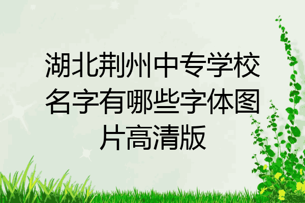 湖北荆州中专学校名字有哪些字体图片高清版
