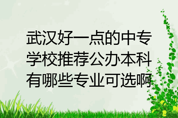 武汉好一点的中专学校推荐公办本科有哪些专业可选啊