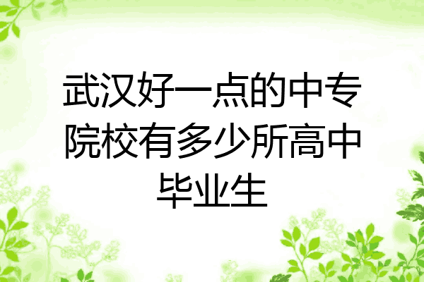 武汉好一点的中专院校有多少所高中毕业生