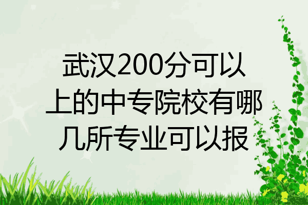 武汉200分可以上的中专院校有哪几所专业可以报