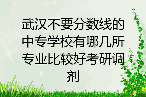 武汉不要分数线的中专学校有哪几所专业比较好考研调剂