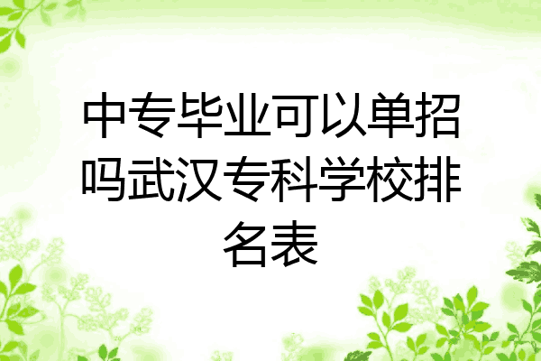 中专毕业可以单招吗武汉专科学校排名表