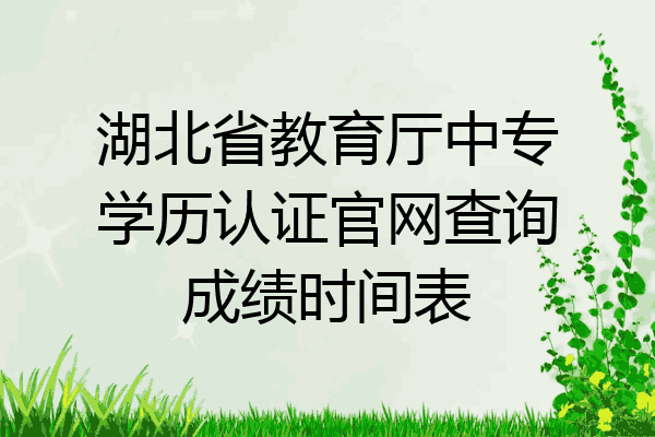 湖北省教育厅中专学历认证官网查询成绩时间表