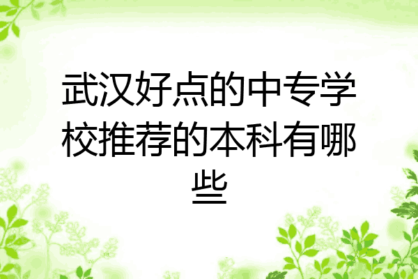 武汉好点的中专学校推荐的本科有哪些