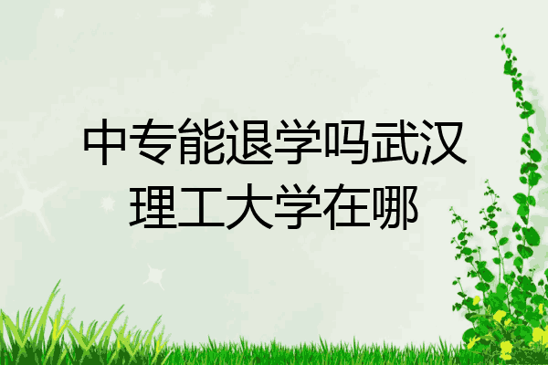 中专能退学吗武汉理工大学在哪