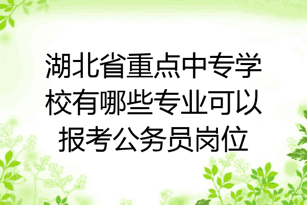 湖北省重点中专学校有哪些专业可以报考公务员岗位