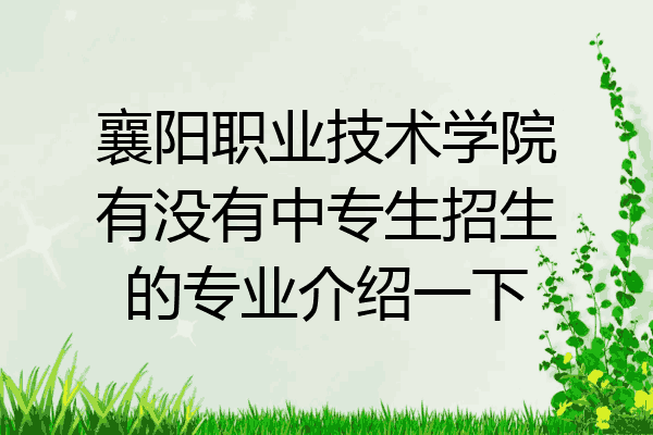 襄阳职业技术学院有没有中专生招生的专业介绍一下