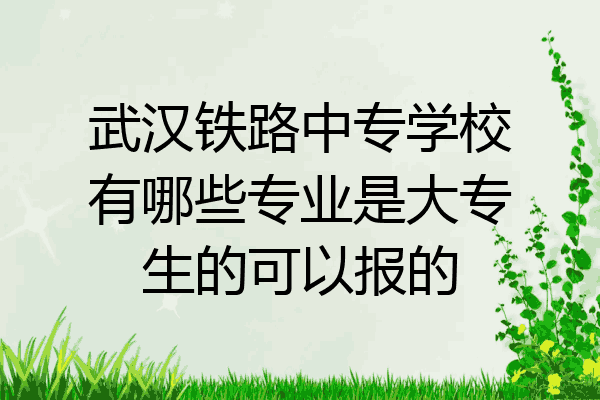 武汉铁路中专学校有哪些专业是大专生的可以报的