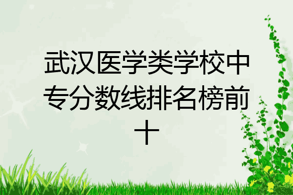 武汉医学类学校中专分数线排名榜前十