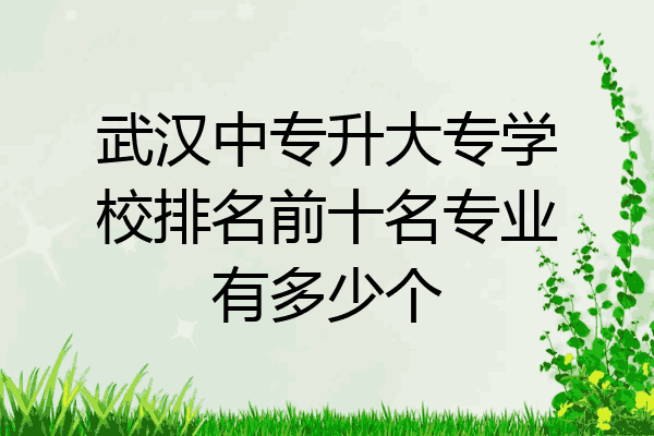 武汉中专升大专学校排名前十名专业有多少个