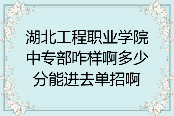 湖北工程职业学院中专部咋样啊多少分能进去单招啊
