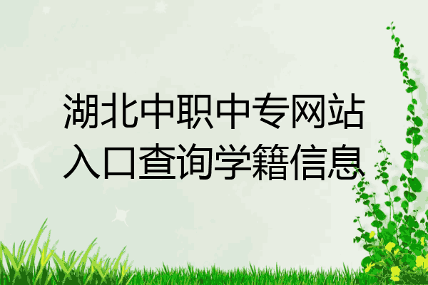 湖北中职中专网站入口查询学籍信息
