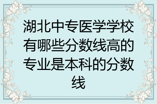 湖北中专医学学校有哪些分数线高的专业是本科的分数线