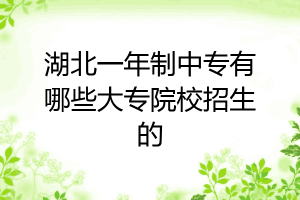 湖北一年制中专有哪些大专院校招生的