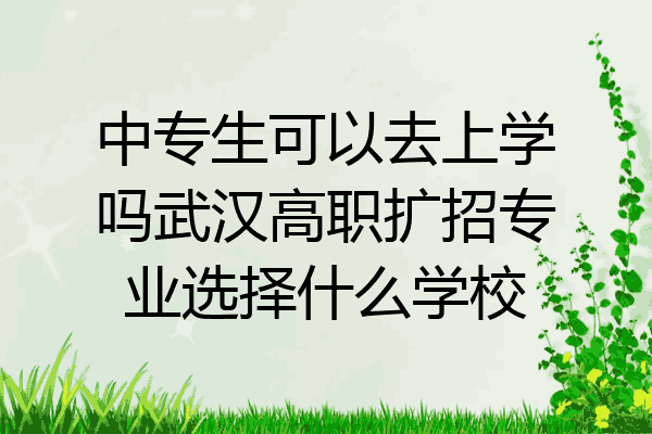 中专生可以去上学吗武汉高职扩招专业选择什么学校