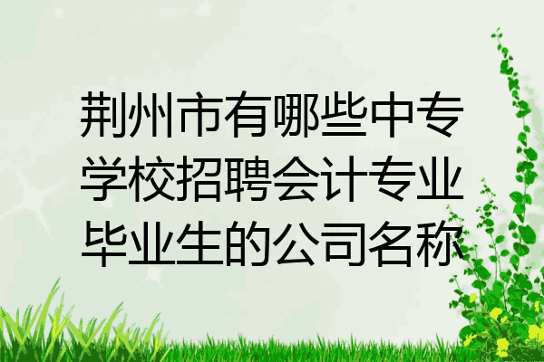 荆州市有哪些中专学校招聘会计专业毕业生的公司名称