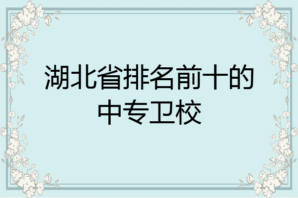 湖北省排名前十的中专卫校