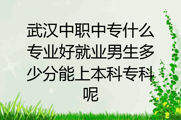 武汉中职中专什么专业好就业男生多少分能上本科专科呢