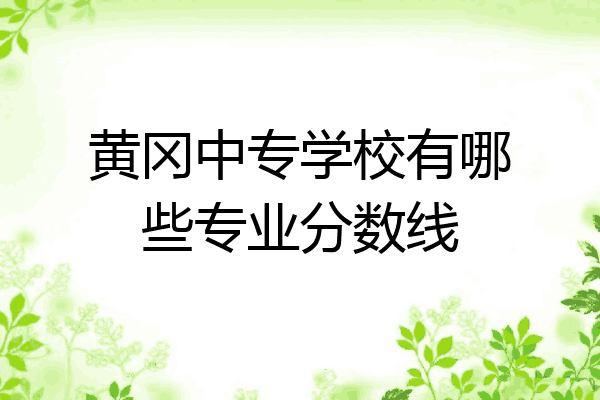 黄冈中专学校有哪些专业分数线