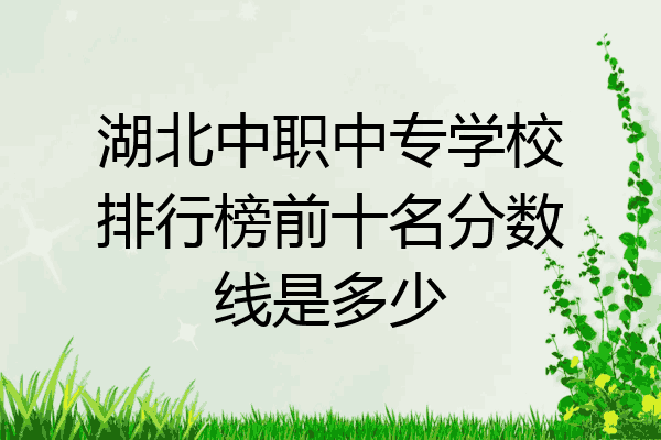 湖北中职中专学校排行榜前十名分数线是多少