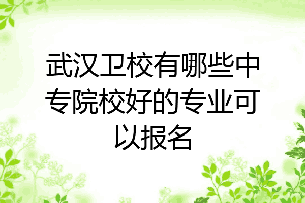 武汉卫校有哪些中专院校好的专业可以报名
