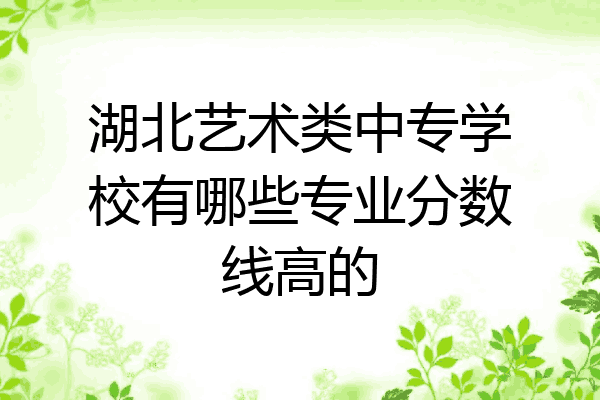 湖北艺术类中专学校有哪些专业分数线高的
